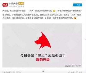 灵犬视频今日头条,今日头条聚焦狗狗智慧生活新篇章